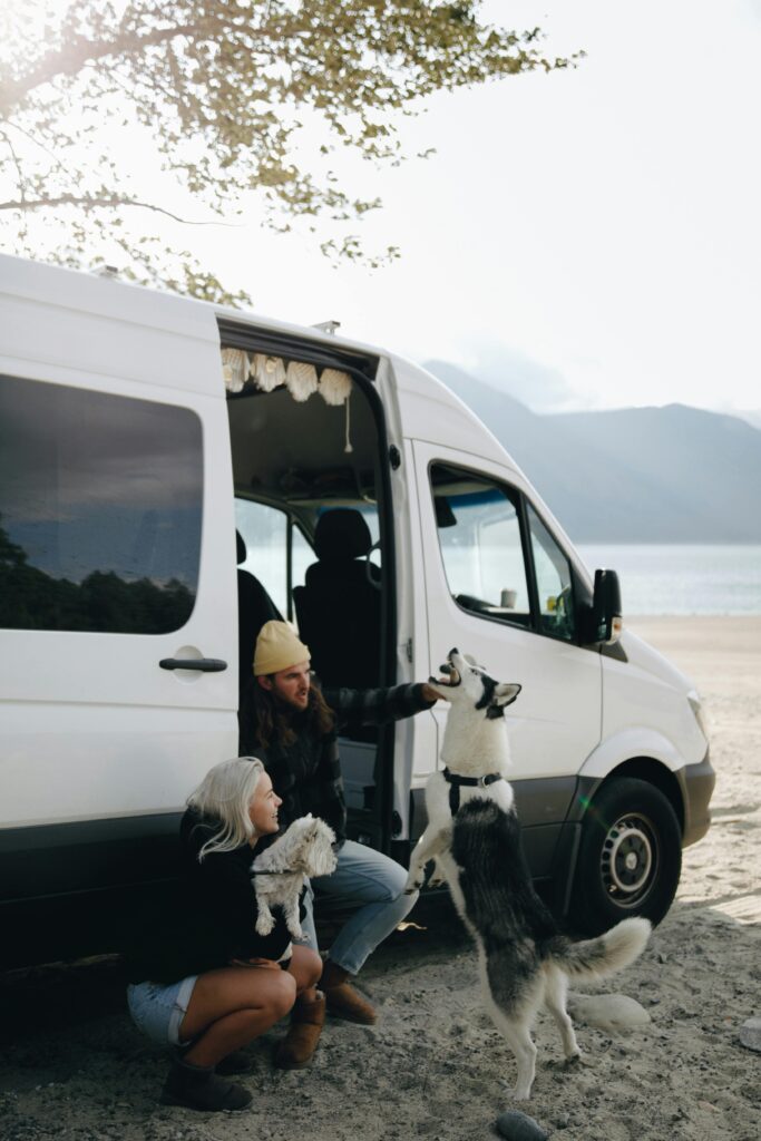 A couple with their dogs playing by a camper van on a sunny beach day, embracing travel and adventure.