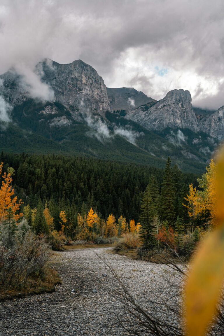 Experience the vibrant autumn colors and majestic Rocky Mountains in Canmore, Alberta.